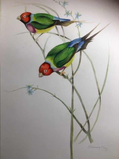 Deux diamants de Gould