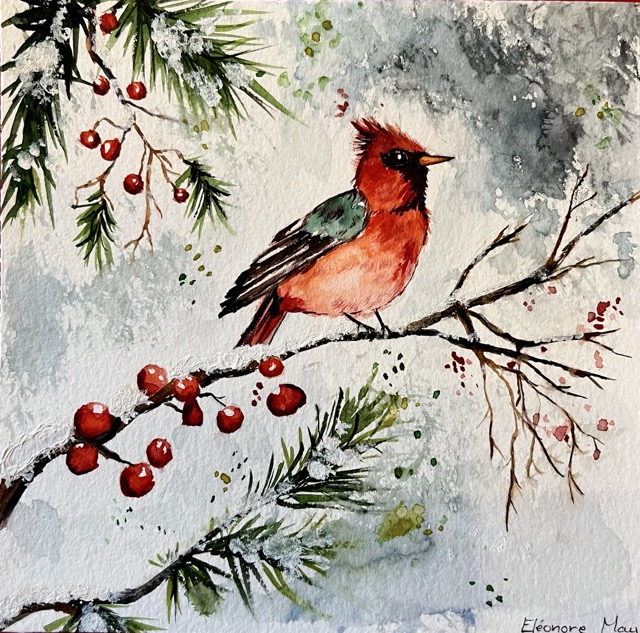 Cardinal rouge en hiver
